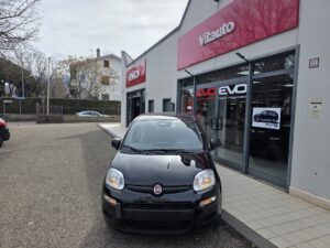 Fiat Panda Icon