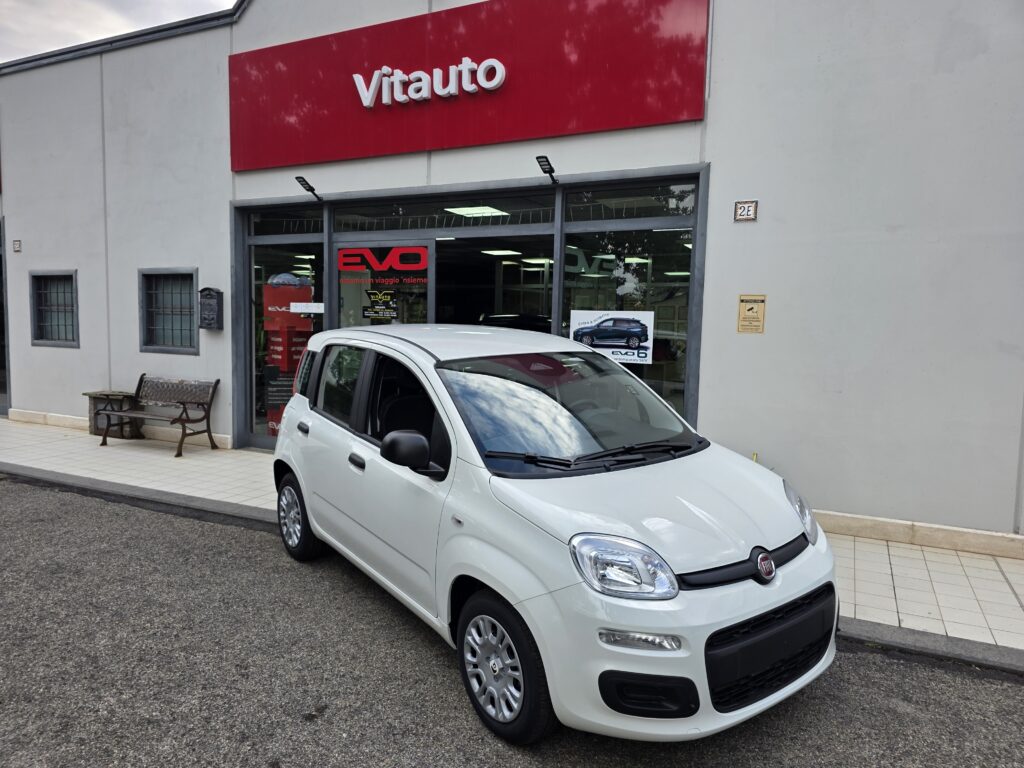 Fiat Panda Icon