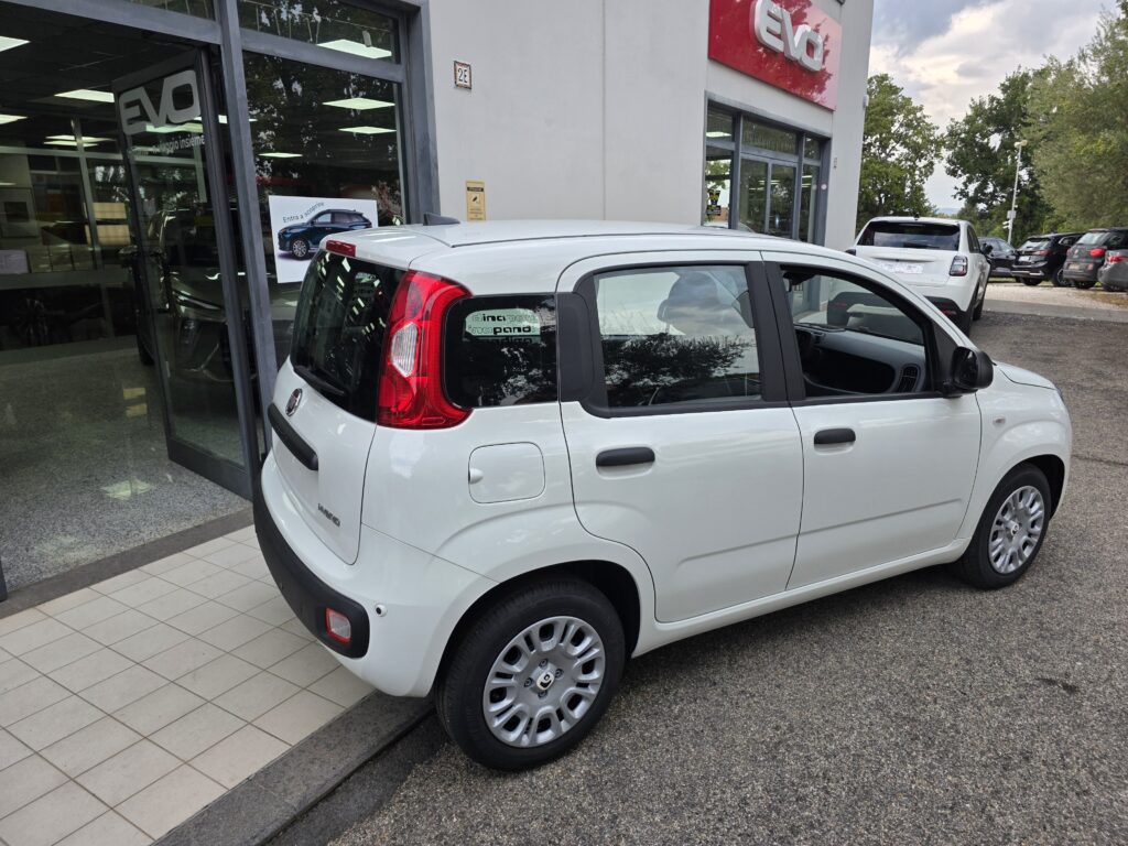 Fiat Panda Icon